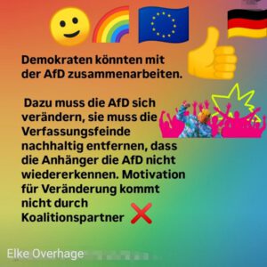 Demokraten könnten mit der AfD zusammenarbeiten. Dazu muss die AfD sich verändern, sie muss die Verfassungsfeinde entfernen